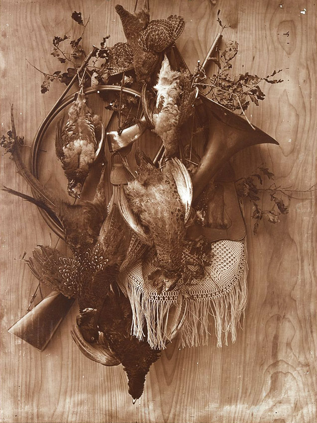 Adolphe Braun, Trophée de chasse aux faisans et perdrix