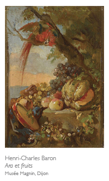 Henri-Charles Baron, Ara et fruits, musée Magnin, Dijon