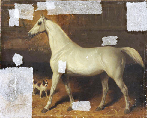 Francis-Antoine Conscience, Le Cheval blanc