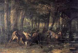 De Artibus Sequanis, Gustave Courbet, Combat de cerfs
