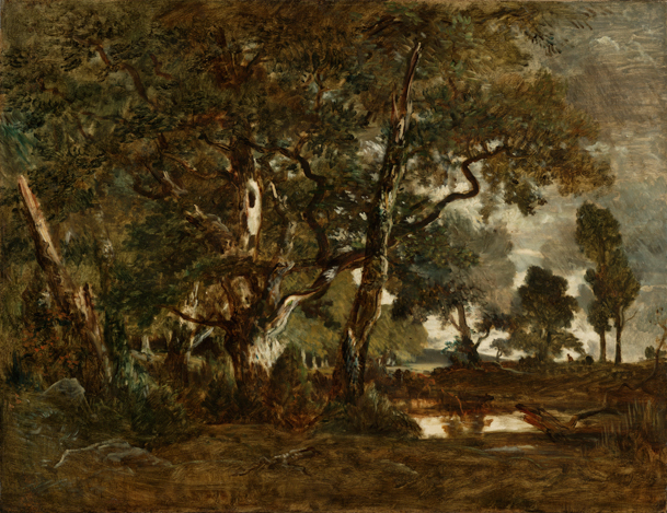 Théodore Rousseau,Groupe de grands arbres surplombant la plaine du Clair-Bois au bord du Bas-Bréau.