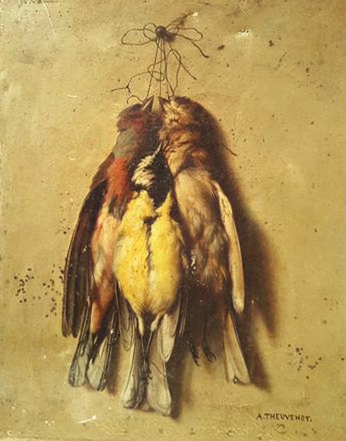 Alexandre Jean Baptiste Theuvenot, étude d'oiseaux